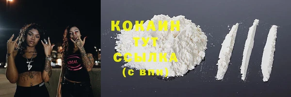 прущий лед Абаза