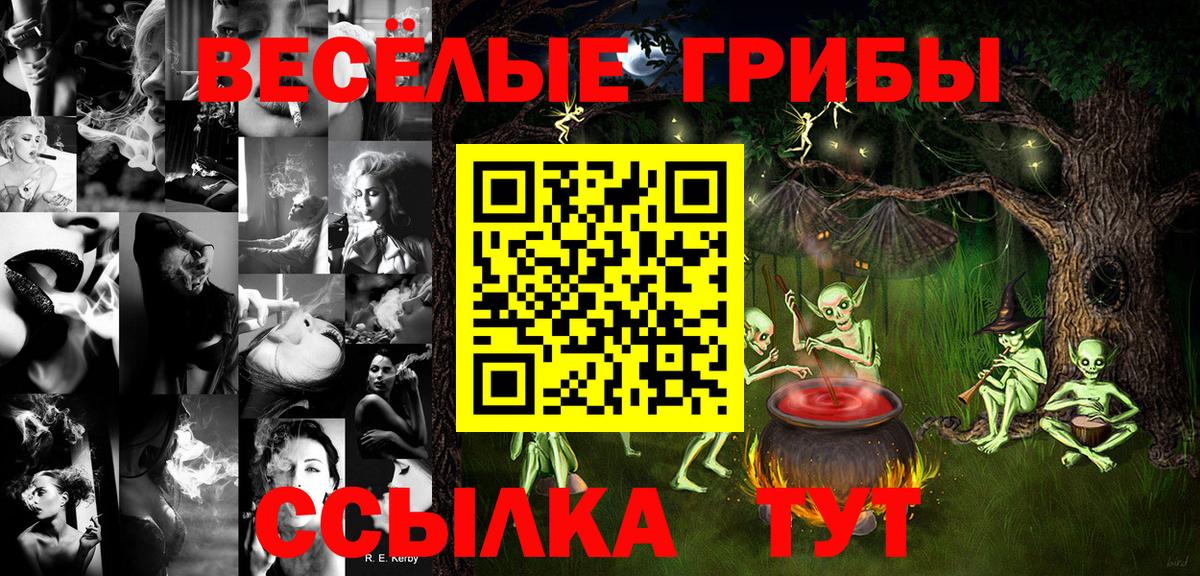 Галлюциногенные грибы Cubensis Каменск-Уральский