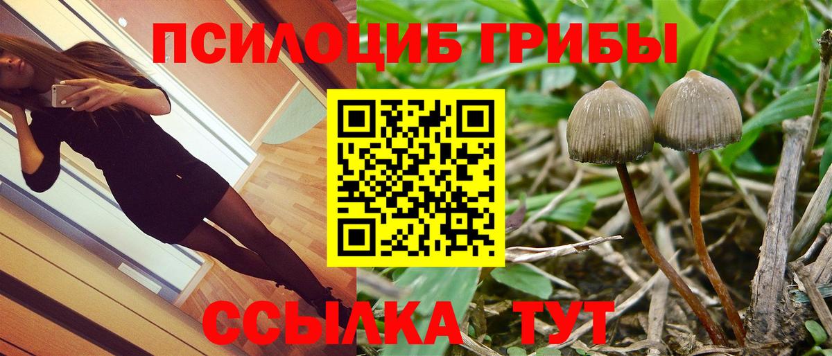 Псилоцибиновые грибы ЛСД  Вход с VPN  Каменск-Уральский 